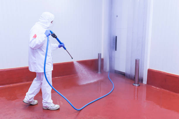 Best Rust Removal  in Lavon, TX